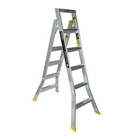 Warthog Dual Purpose Ladder