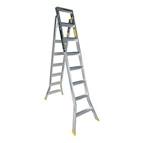 Warthog Dual Purpose Ladder