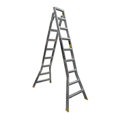 Warthog Dual Purpose Ladder