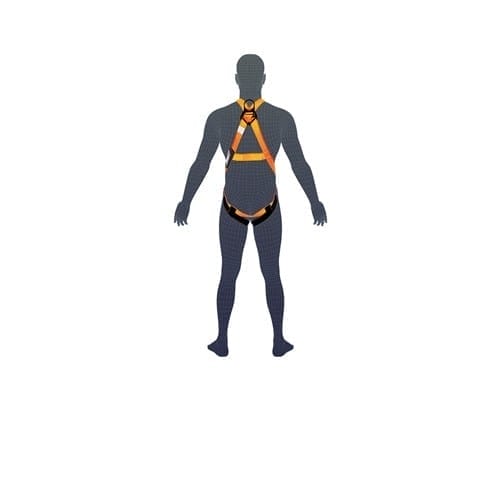 Essential Harness