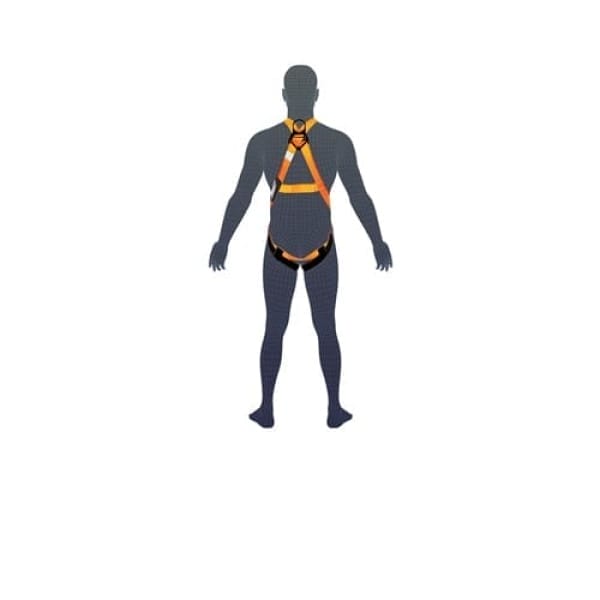Essential Harness