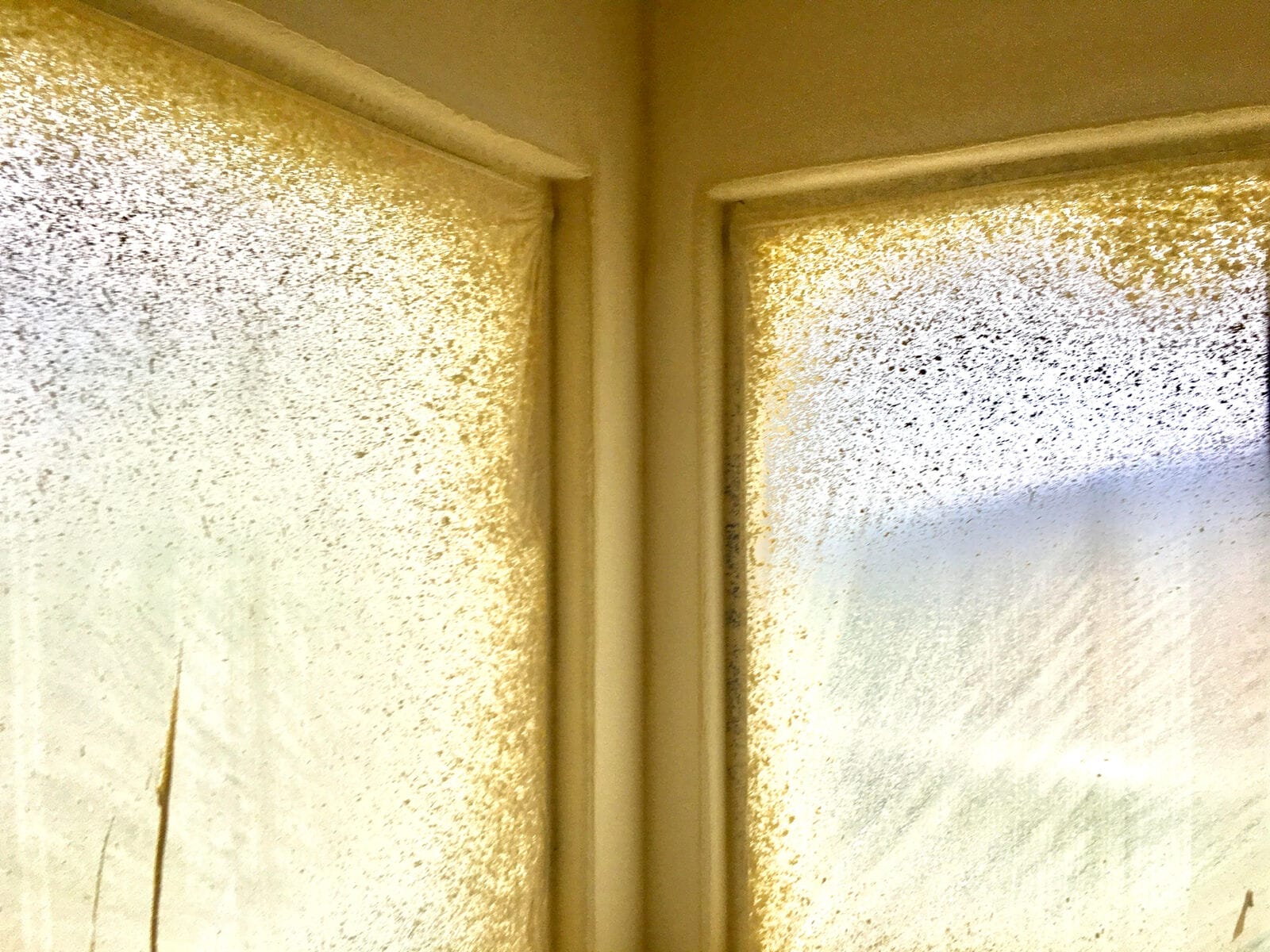 ProTekt Double Tape Machine