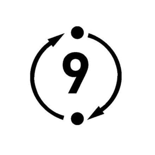 RUPES 150mm Random Orbital Sander 9mm