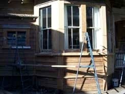 Maxistrip Paint Stripper